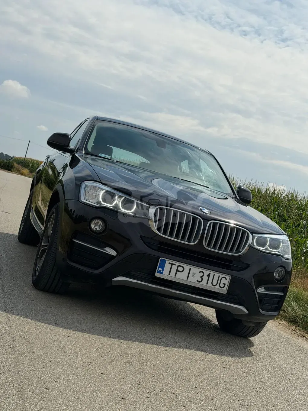 BMW X4 F26 (2014–2018) xDrive20d 2015