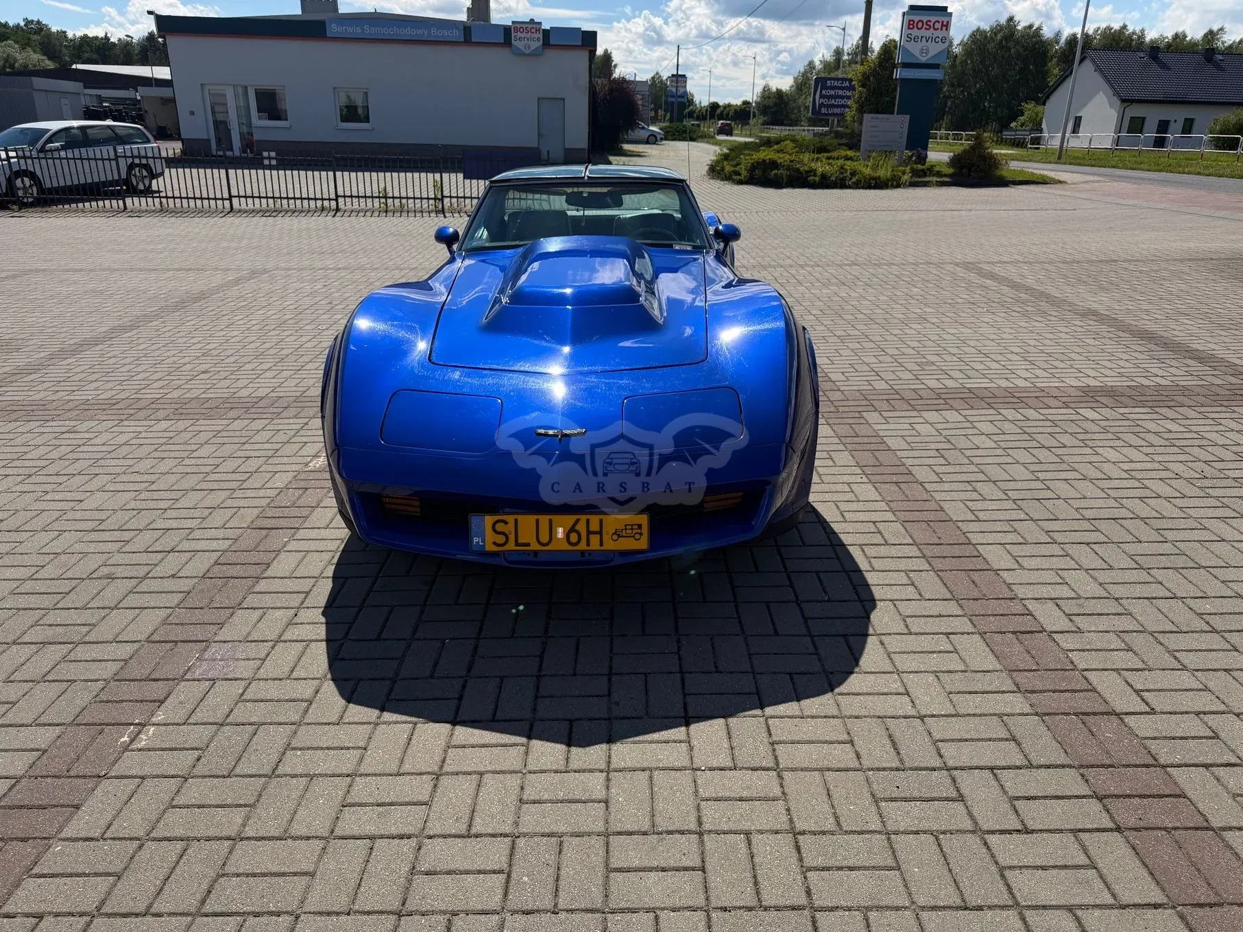 Chevrolet Corvette C3 (1967-1982) 1981