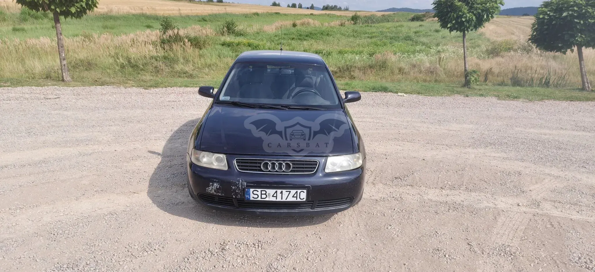 Audi A3 8L (1996-2003) 2002