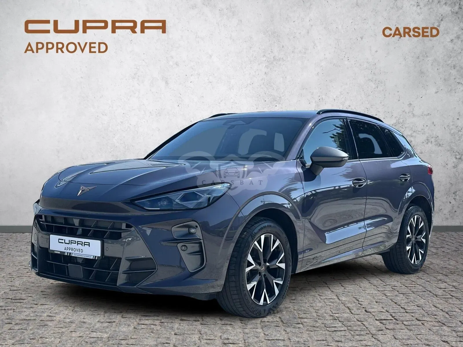 Cupra Terramar 1.5 eTSI mHEV DSG 2024