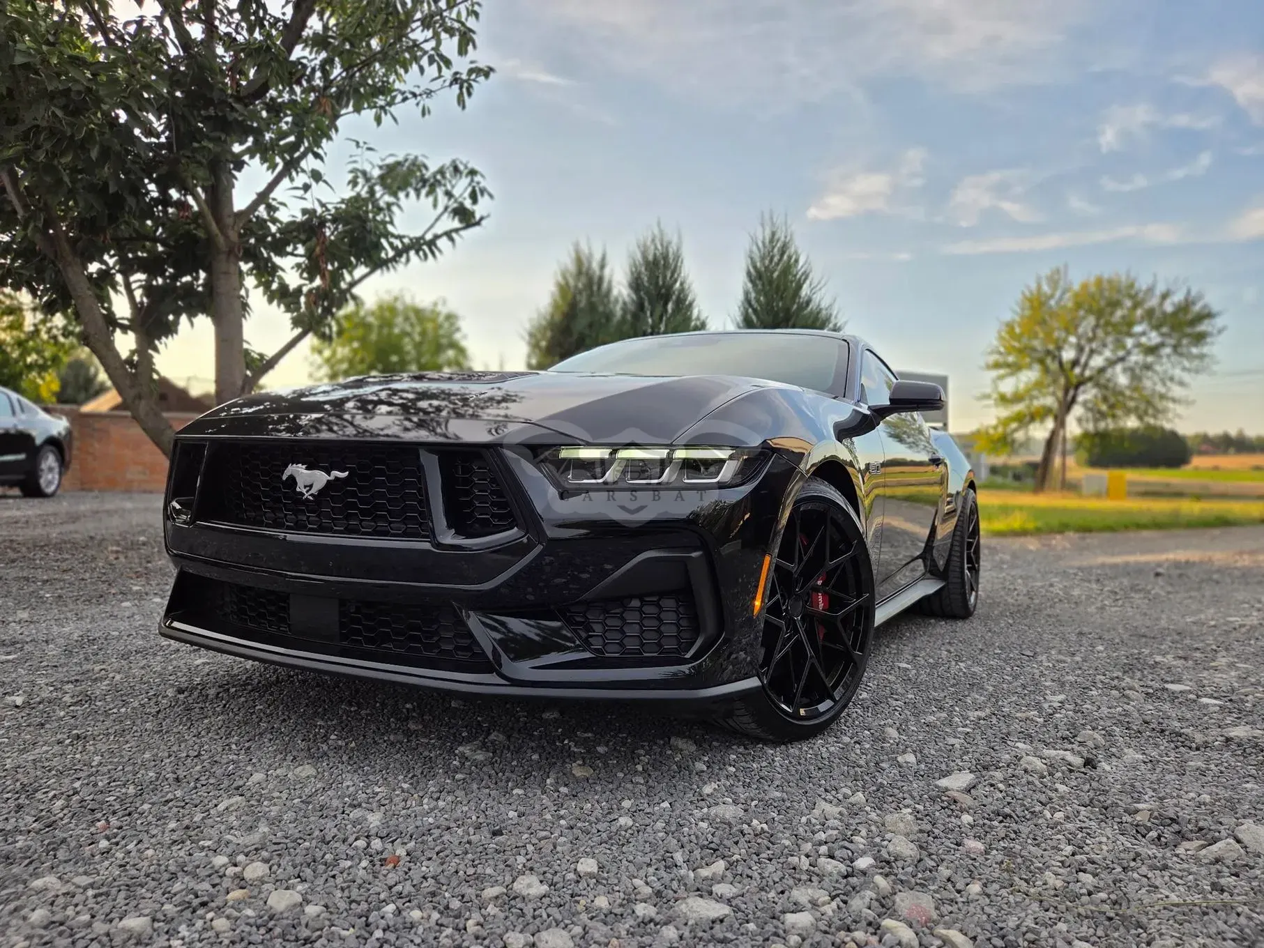 Ford Mustang 2024