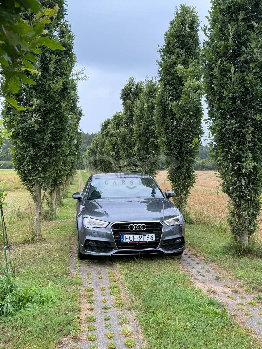 Audi A3 8V (2012-) 2.0 TDI S tronic 2016