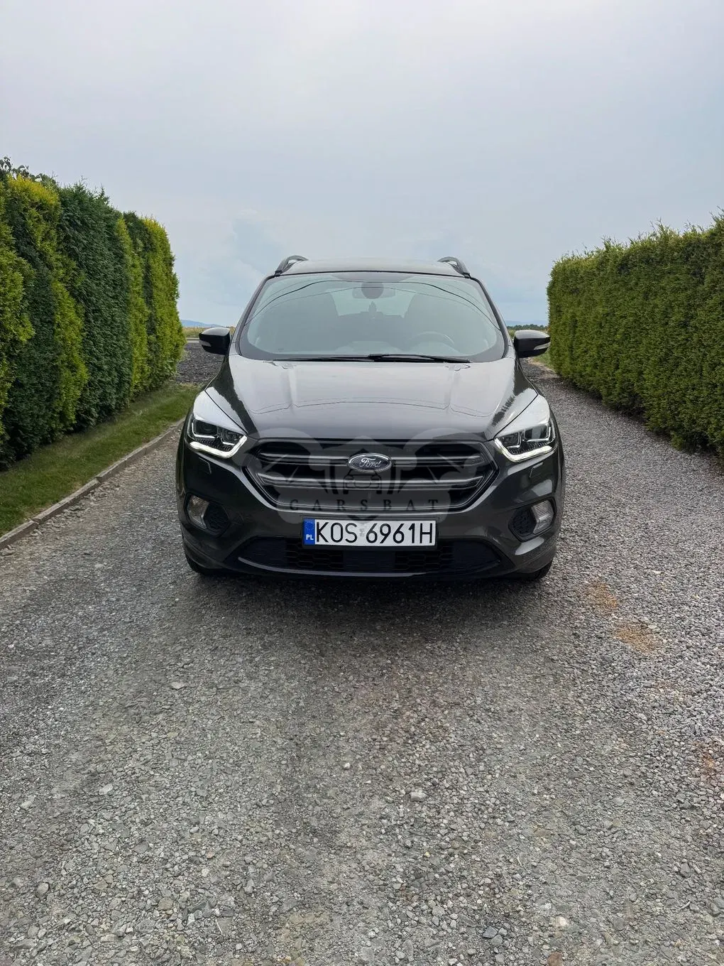 Ford Kuga II (2012-) 1.5 TDCi FWD ST-Line 2017