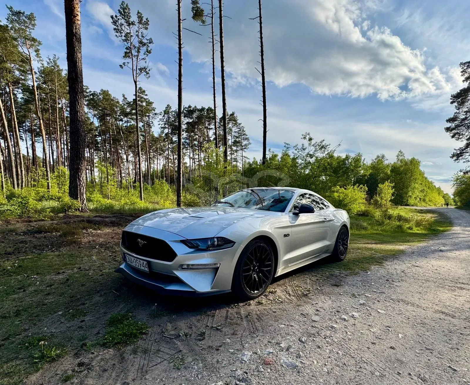 Ford Mustang 2019