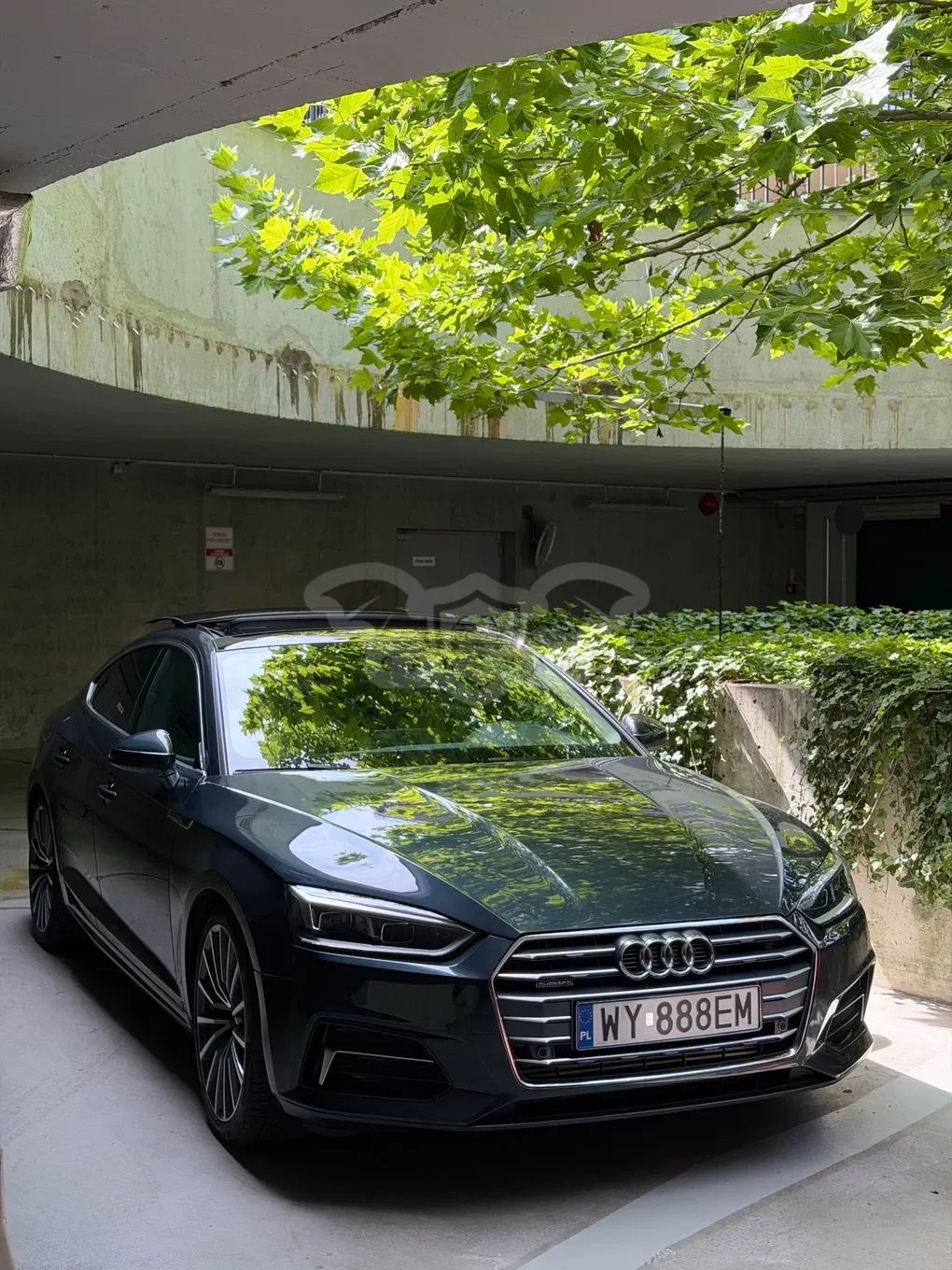Audi A5 F5 (2016-2024) 2.0 TFSI quattro S tronic 2018