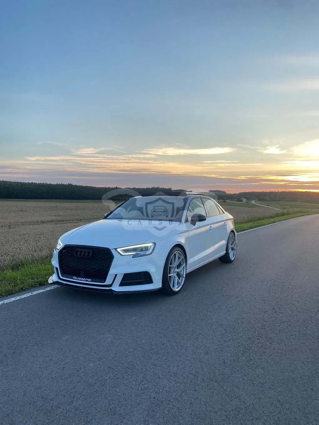Audi A3 8V (2012-) 2.0 TFSI quattro S tronic sport 2016