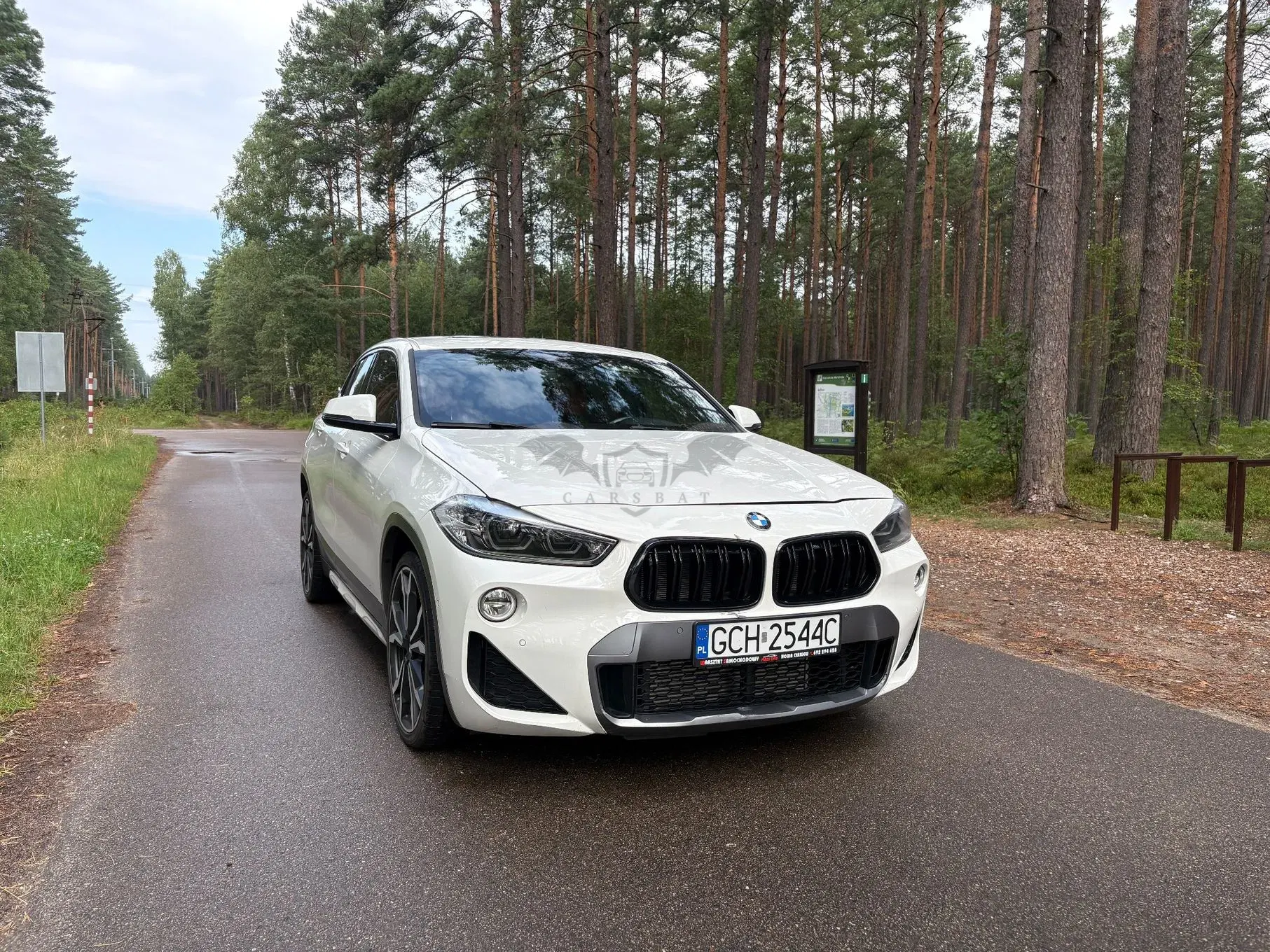 BMW X2 F39 (2017-2023) 2018