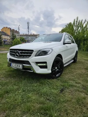 Mercedes-Benz ML W166 (2011-2015) 250 BlueTEC 4-Matic 2015