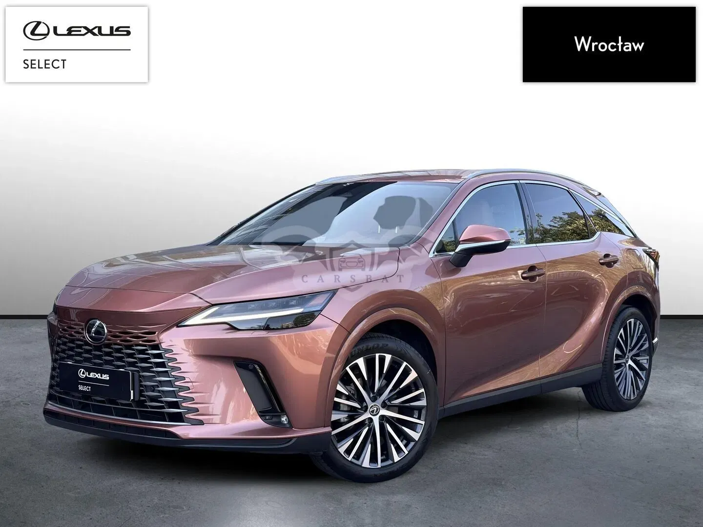 Lexus RX V (2022-) 2023