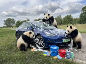 Tesla Model 3 2019