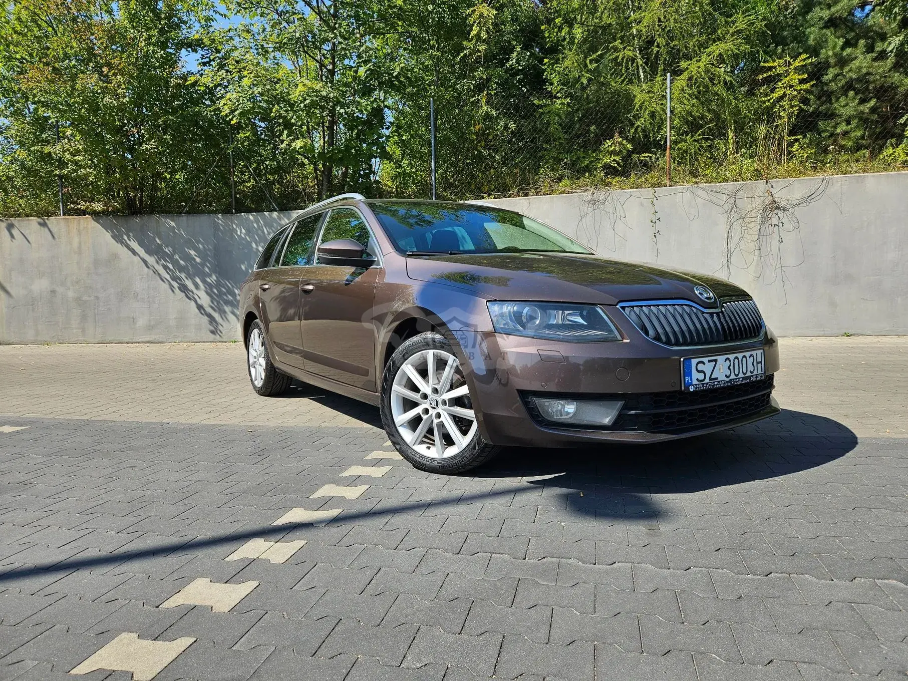 Skoda Octavia III (2013-) 2.0 TDI 4x4 Elegance 2013
