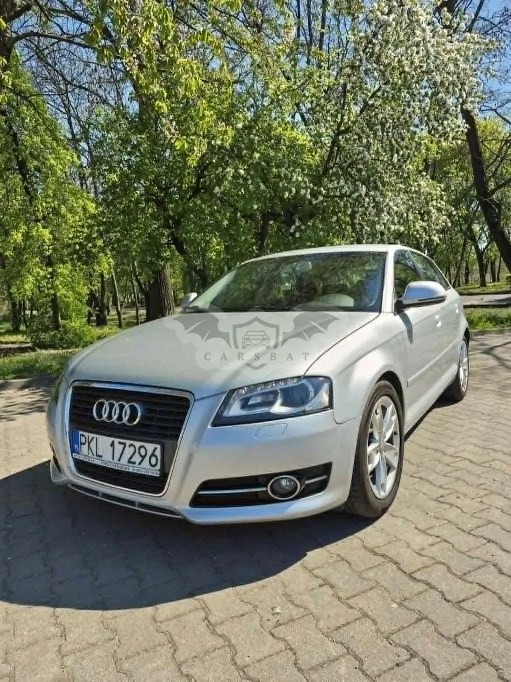 Audi A3 8P (2003-2012) 1.8T FSI Ambition 2008