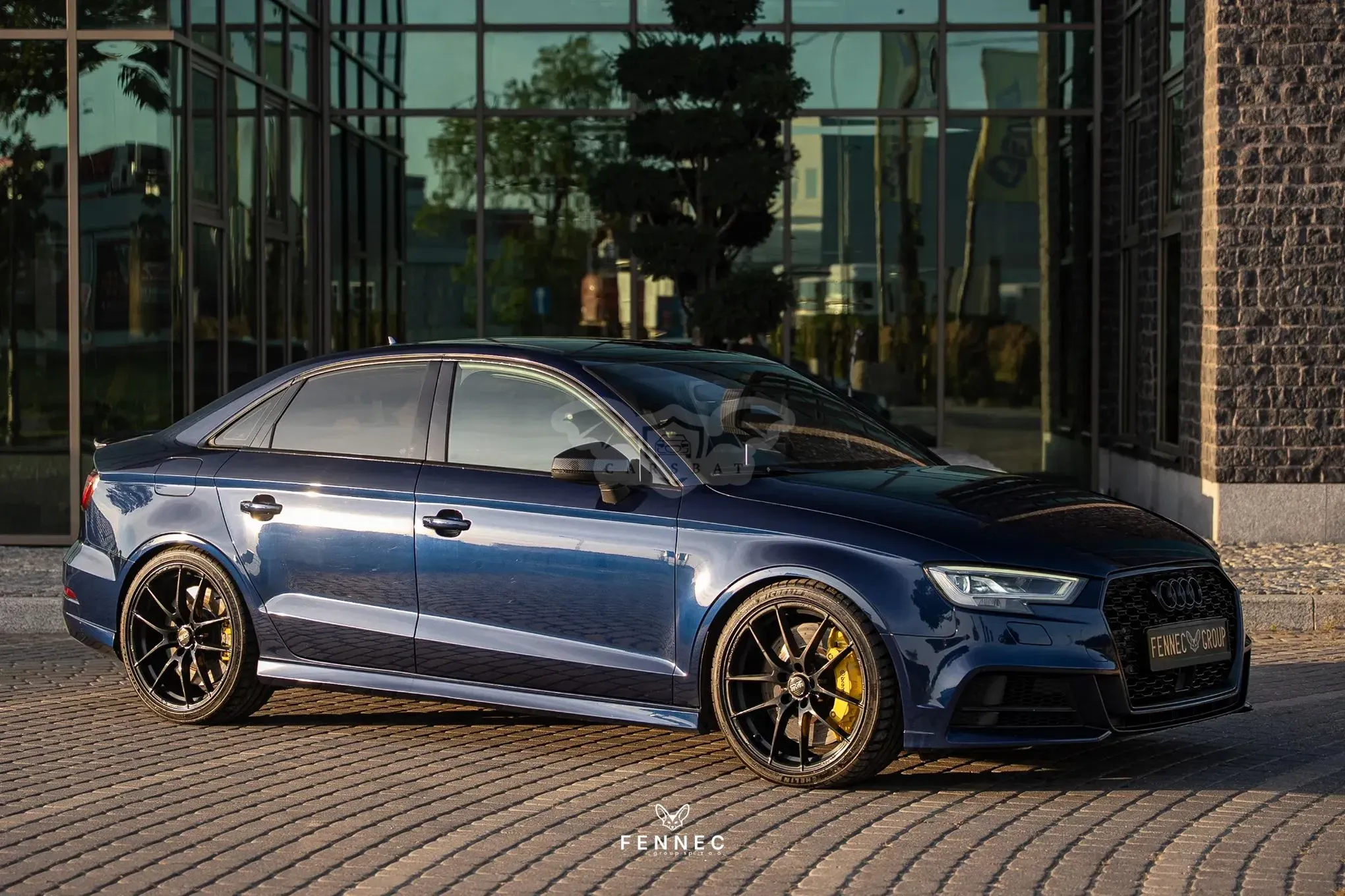Audi S3 8V (2012-2020) 2017