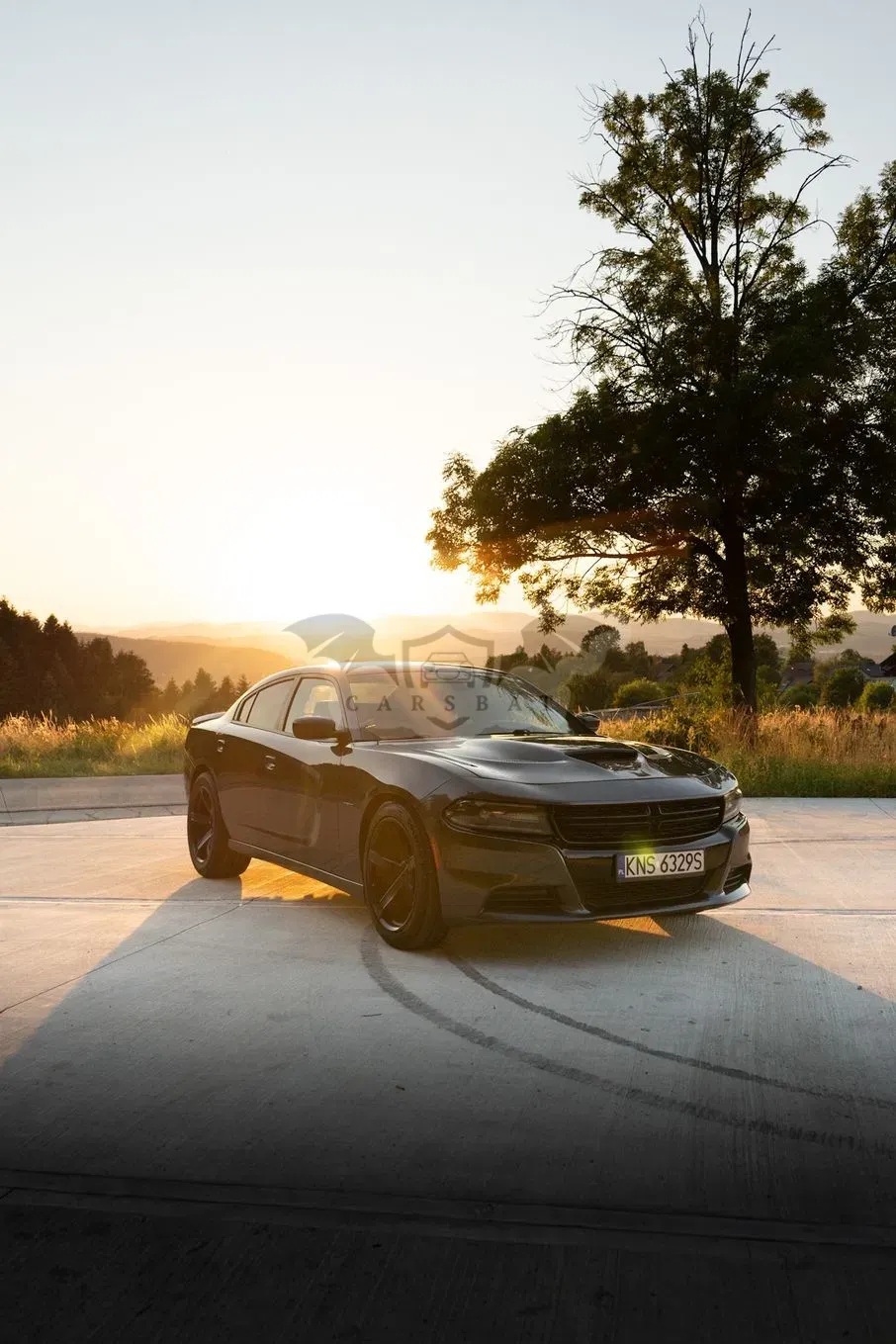 Dodge Charger 2015