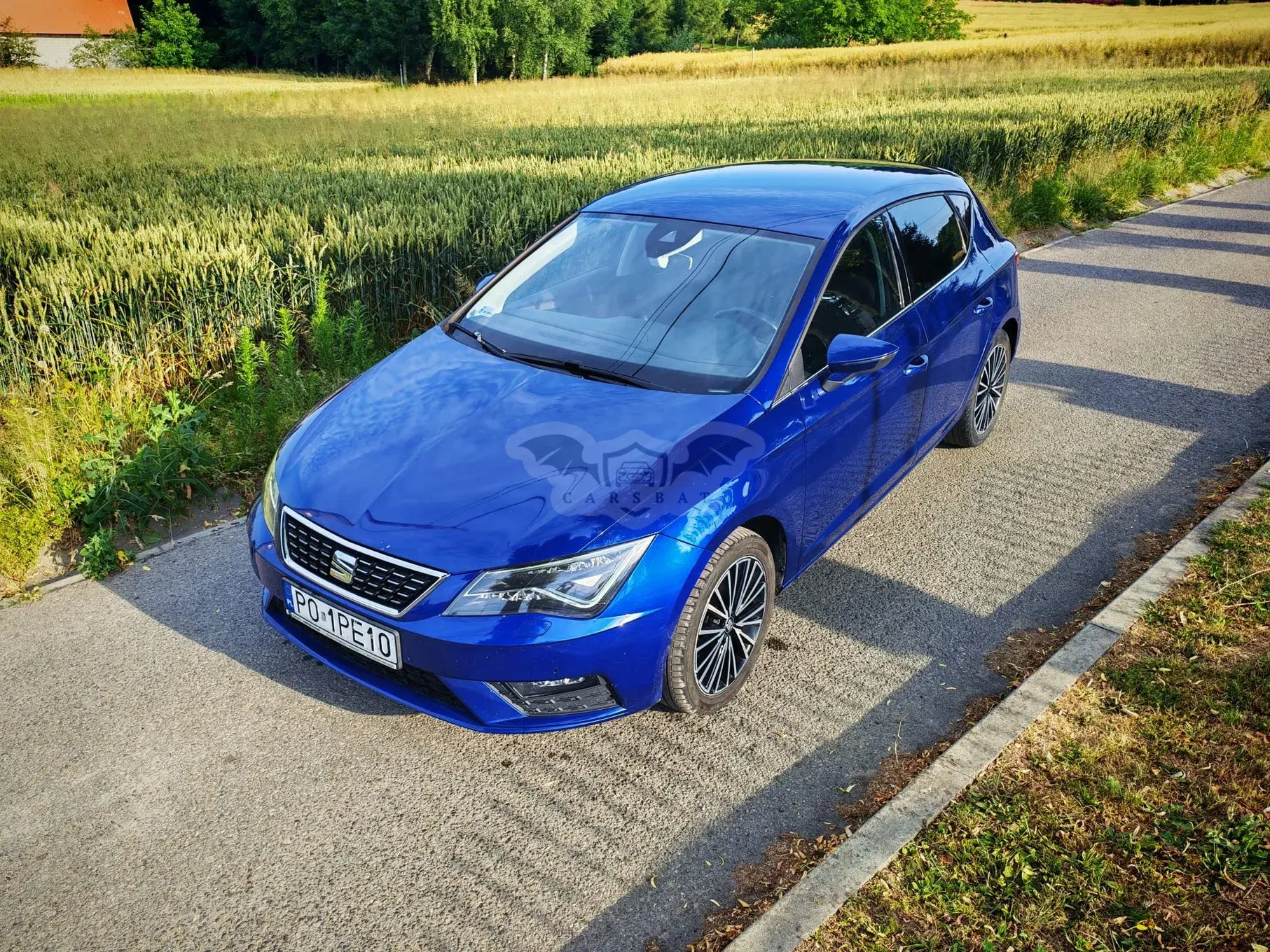 Seat Leon III (2012-) 1.5 EcoTSI Evo Xcellence S&S DSG 2019