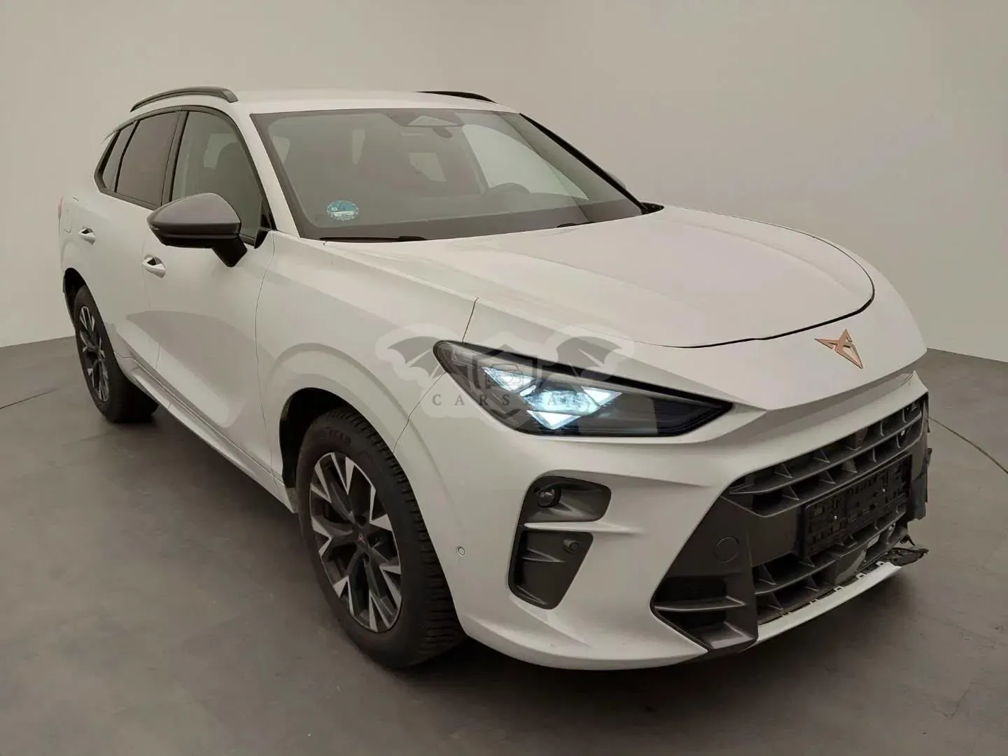 Cupra Terramar 1.5 eTSI mHEV Tribe Edition DSG 2025