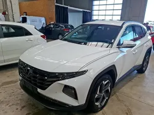 Hyundai Tucson IV (2020-) 2024