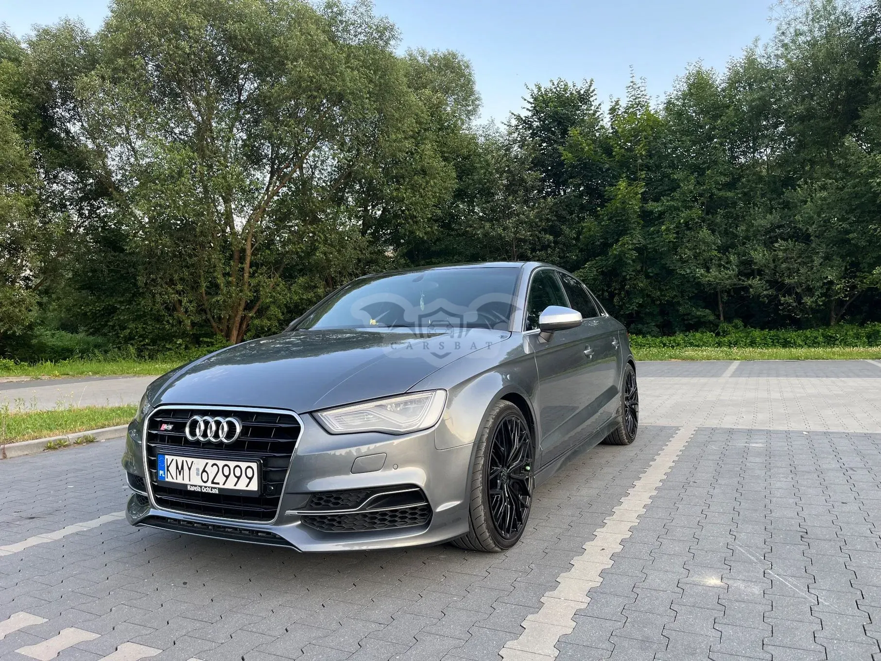 Audi S3 8V (2012-2020) 2.0 TFSI Quattro S tronic 2014