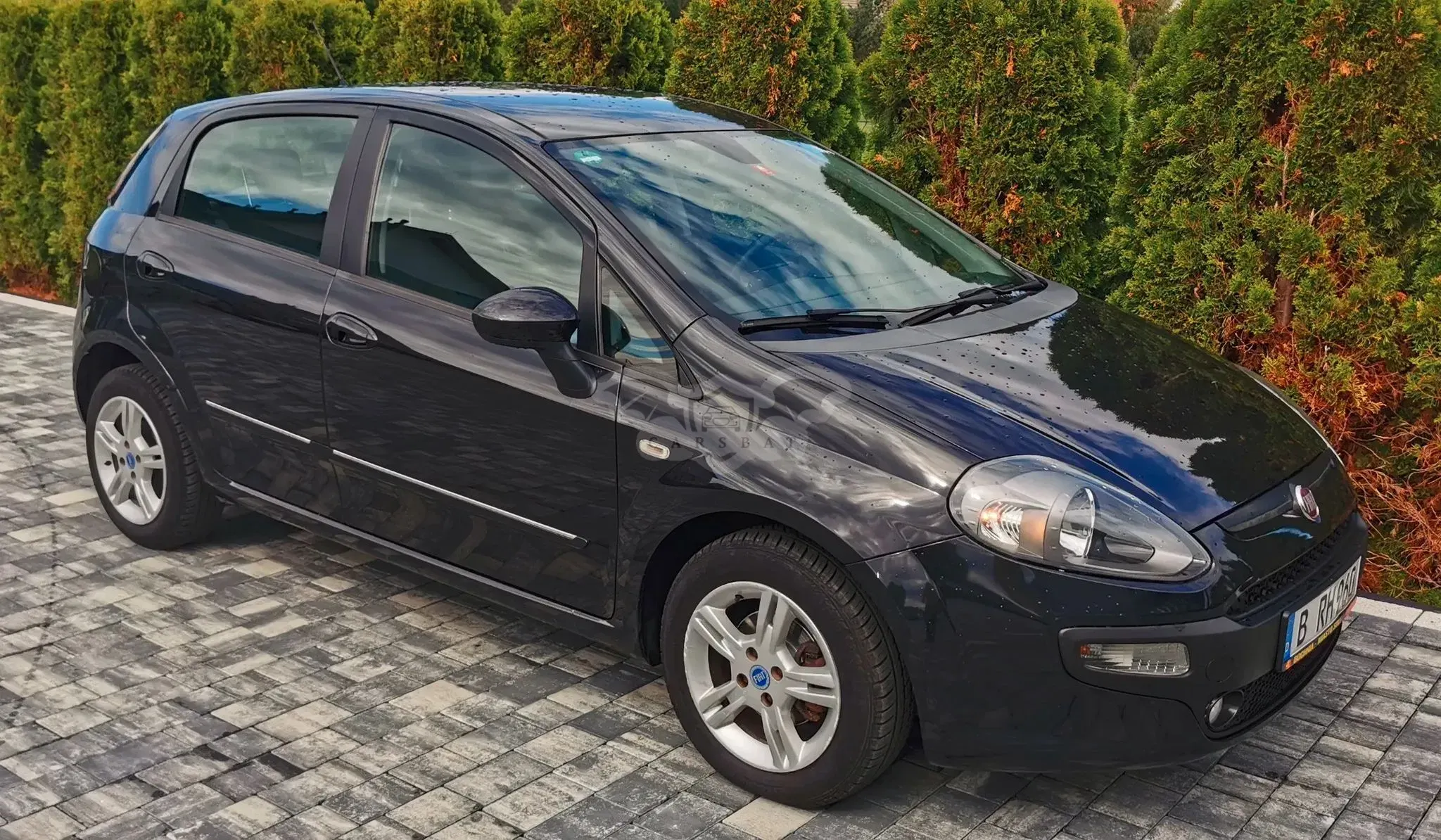 Fiat Punto 2010