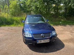 Volkswagen Passat B5 FL (2000-2005) 2004