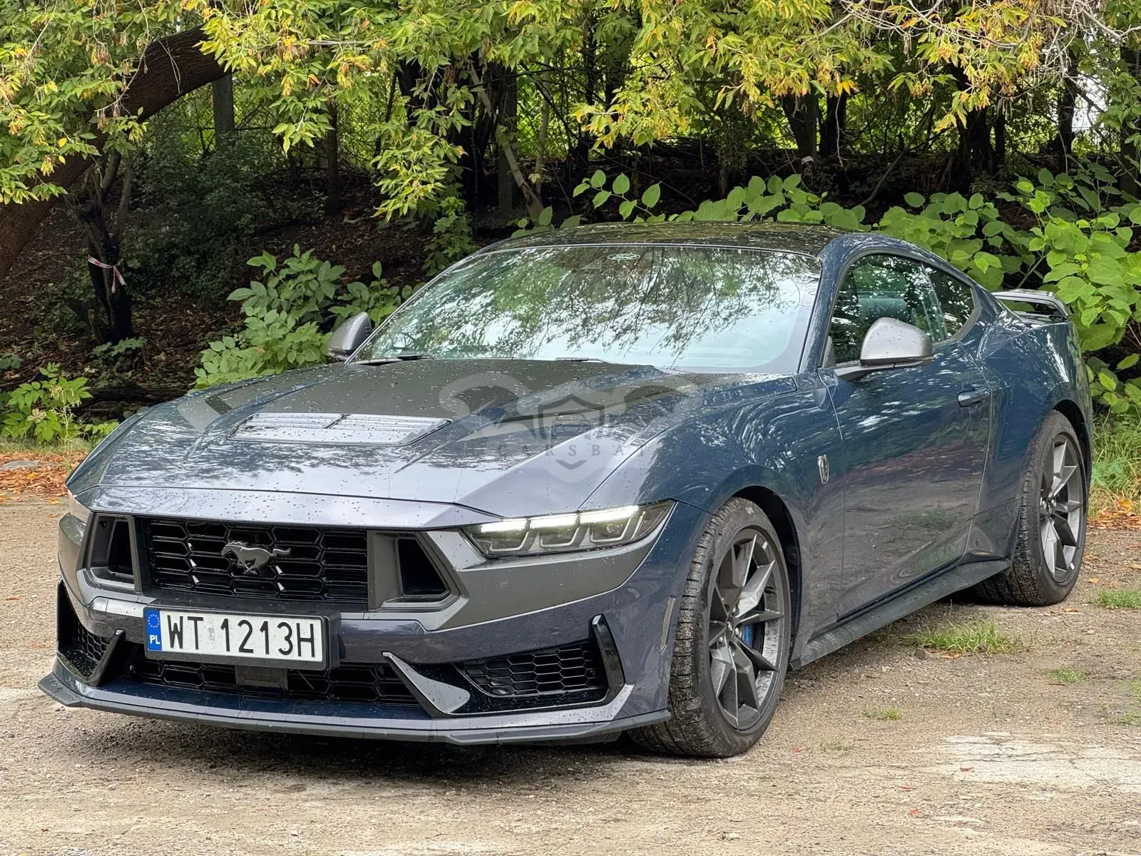 Ford Mustang 5.0 Ti-VCT V8 Dark Horse 2024