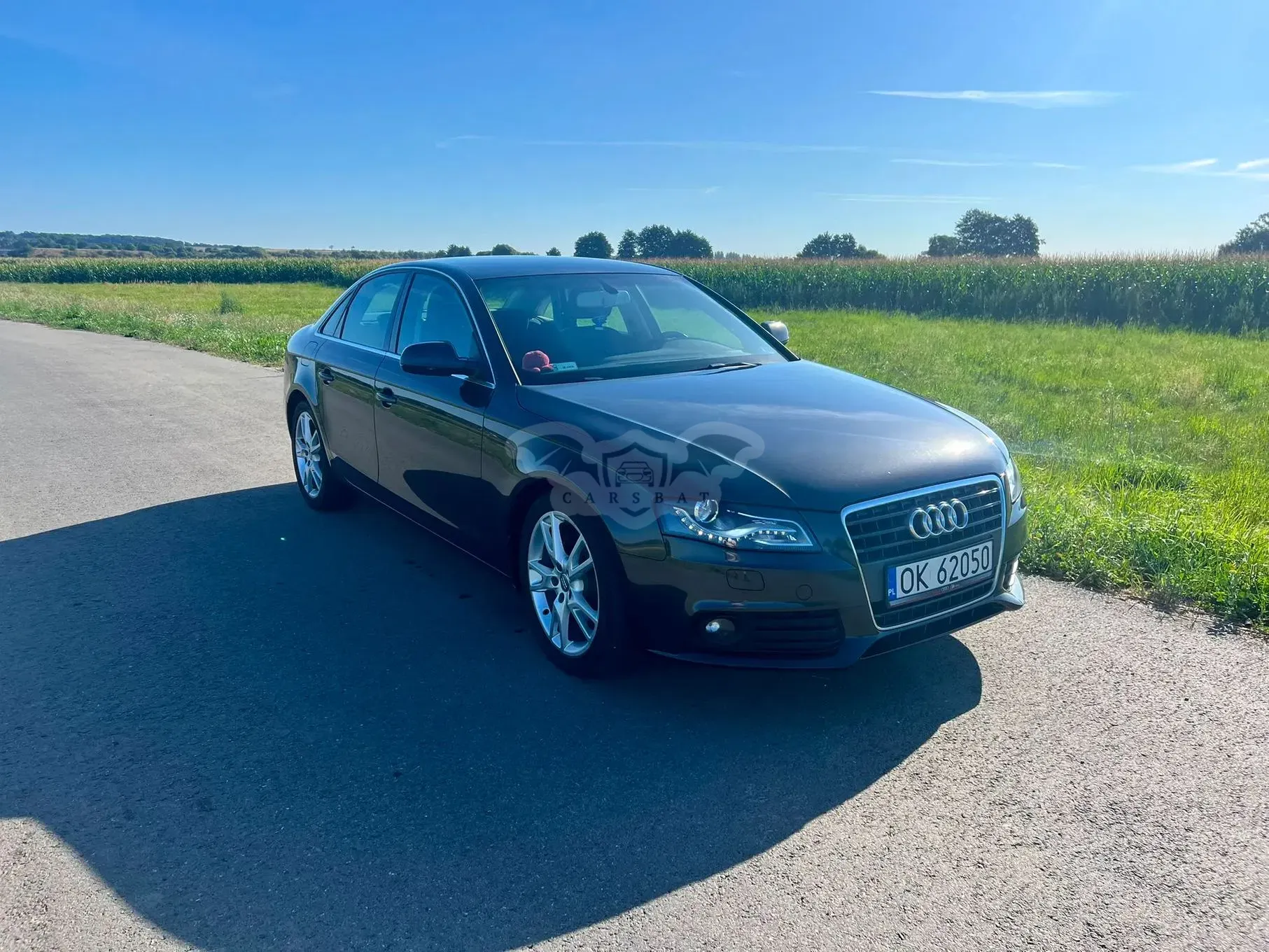 Audi A4 B8 (2007-2015) 2.0 TFSI 2010