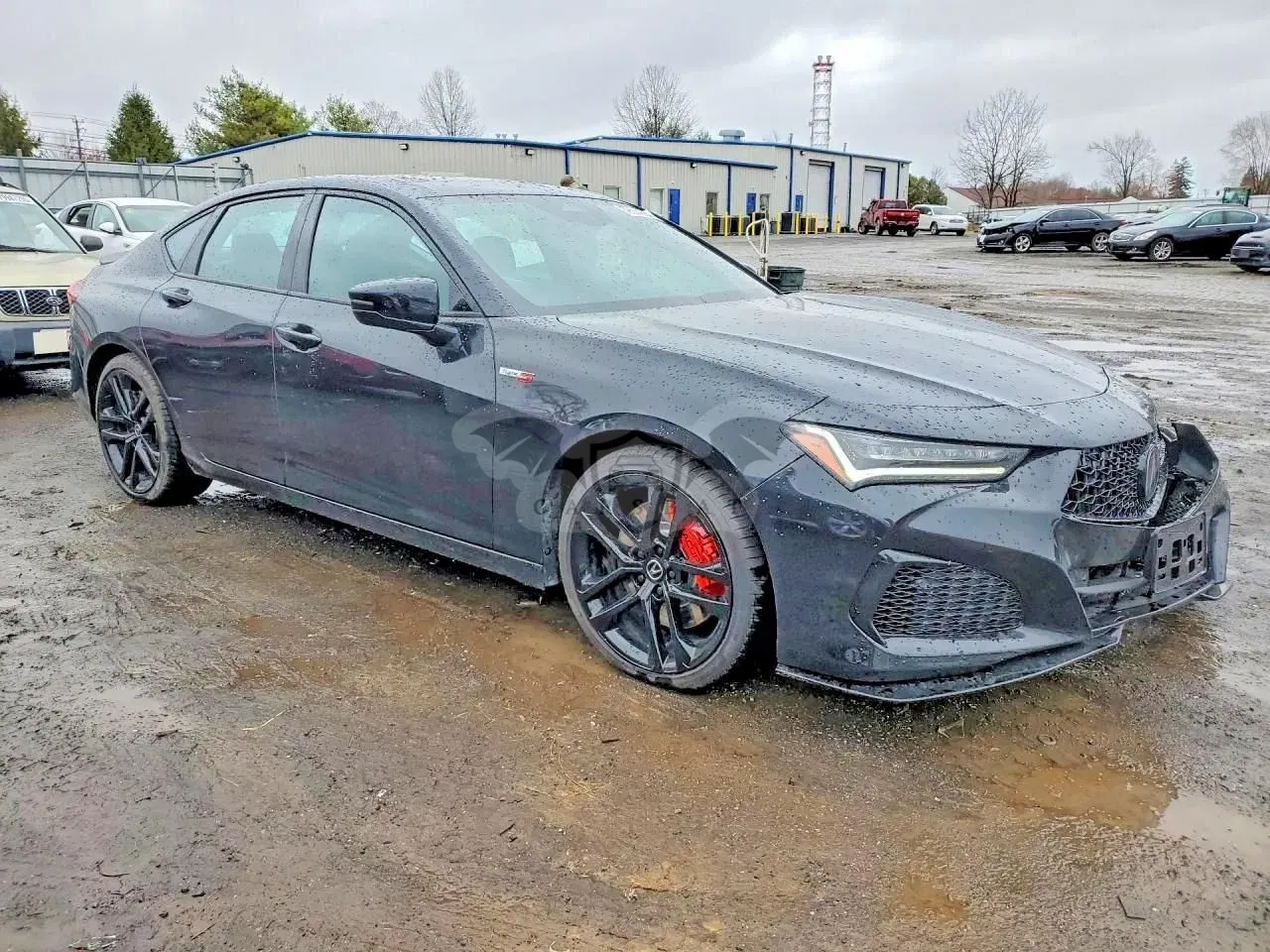 Acura TLX 2025