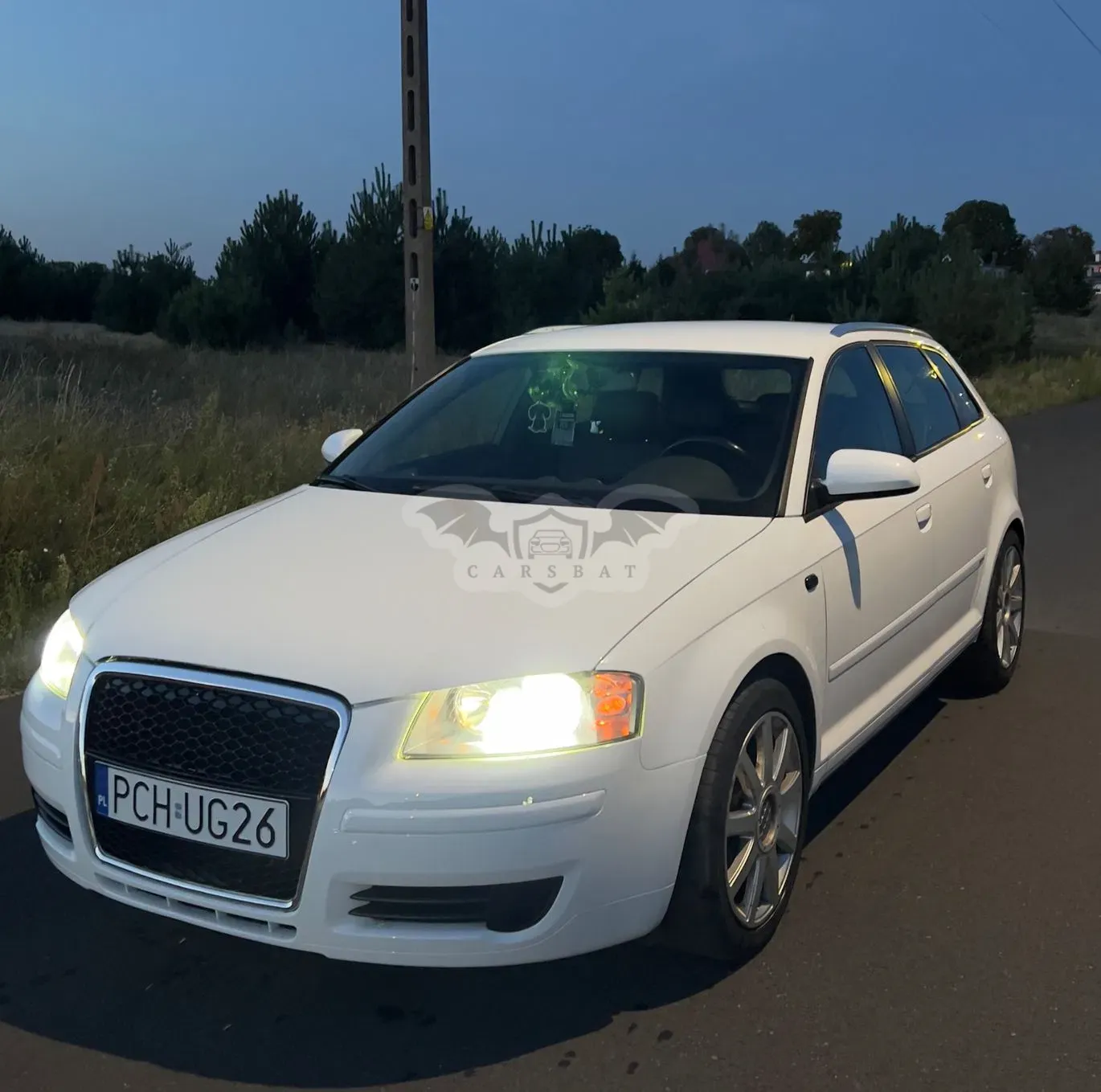 Audi A3 8P (2003-2012) 2.0 TDI DPF S line Sportpaket 2008