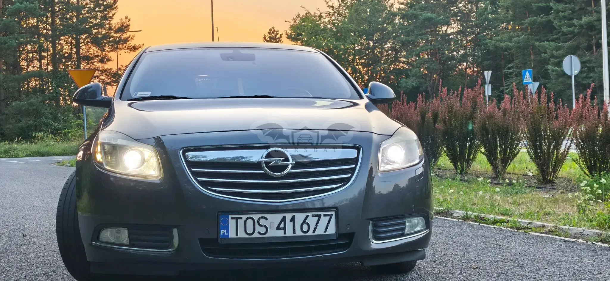 Opel Insignia A (2008-2017) 2.0 CDTI Cosmo 2009