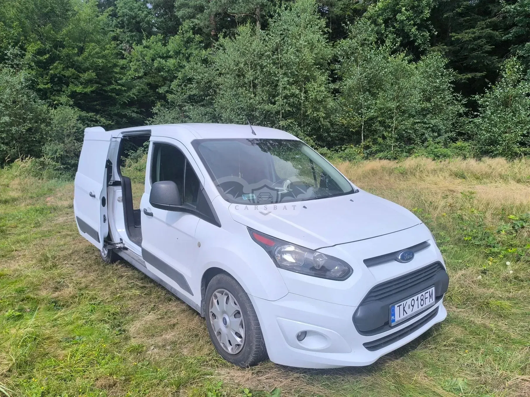 Ford Transit Connect II (2013-) 2017