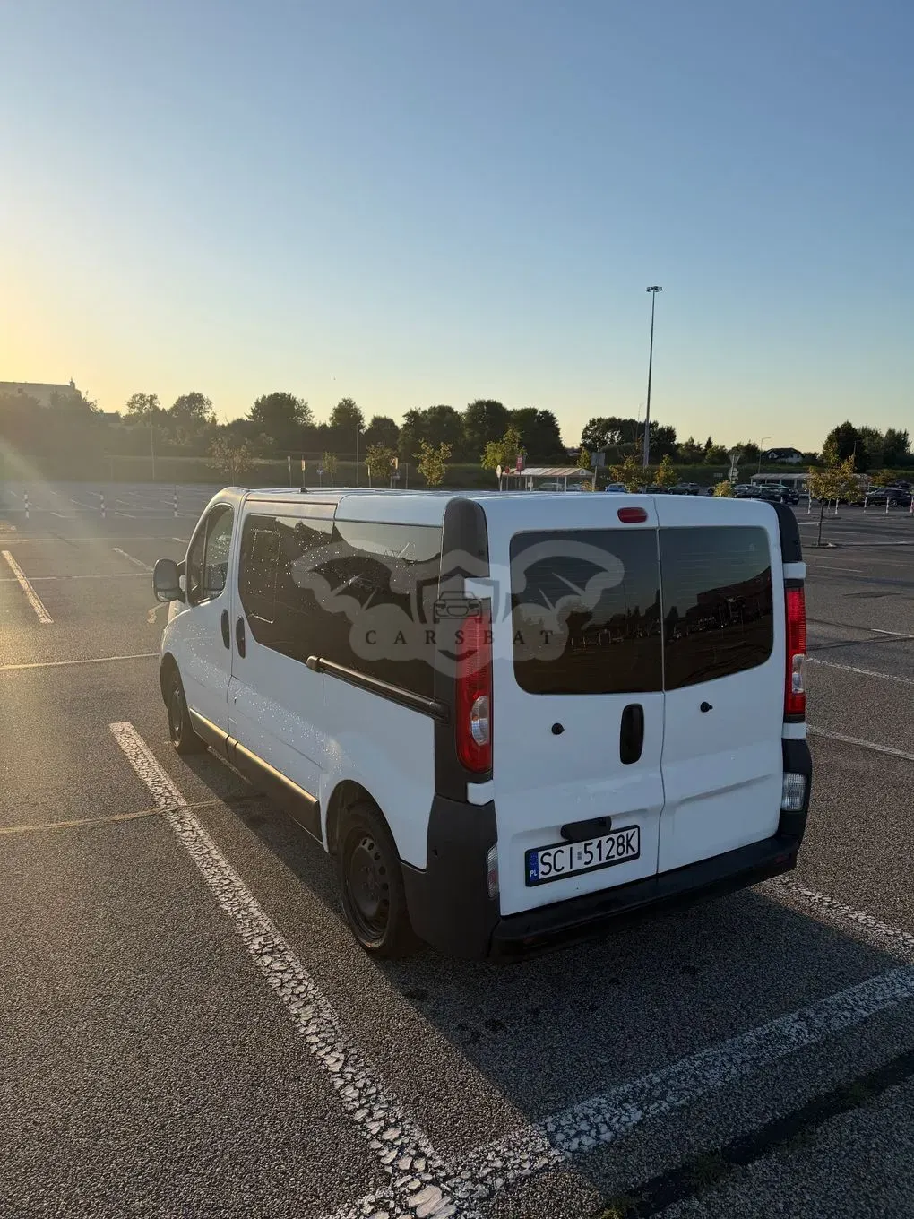 Renault Trafic II (2001-2014) 2010