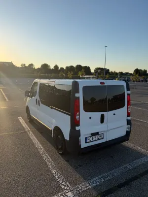 Renault Trafic II (2001-2014) 2010