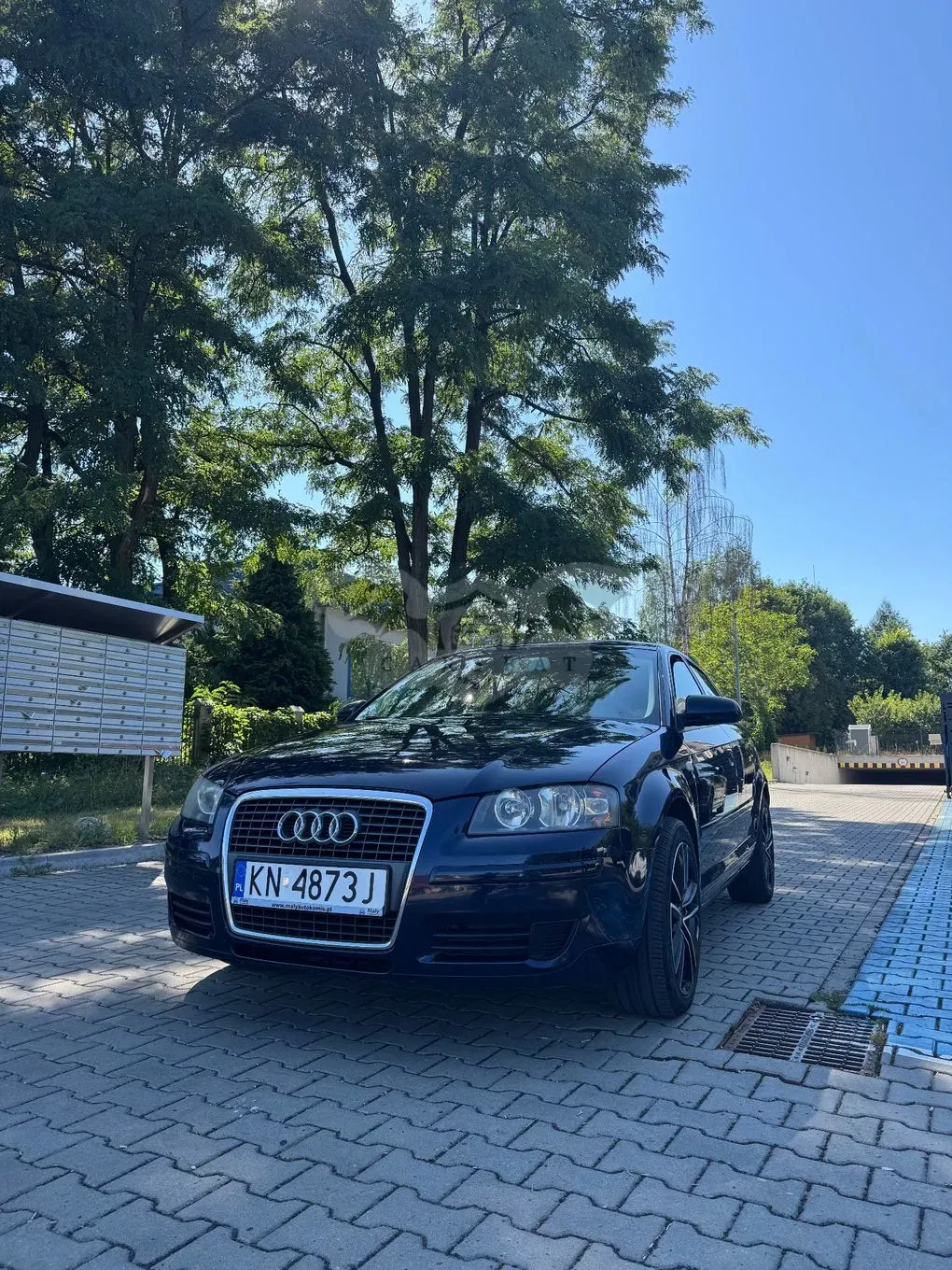 Audi A3 8P (2003-2012) 2007