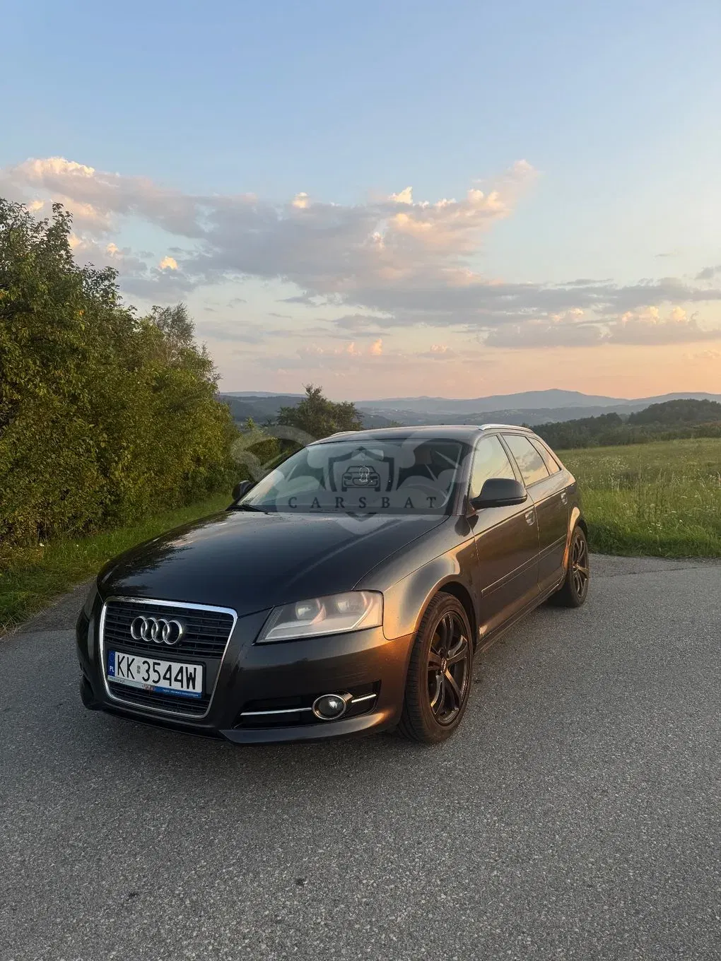 Audi A3 8P (2003-2012) 1.8 TFSI Ambiente 2009
