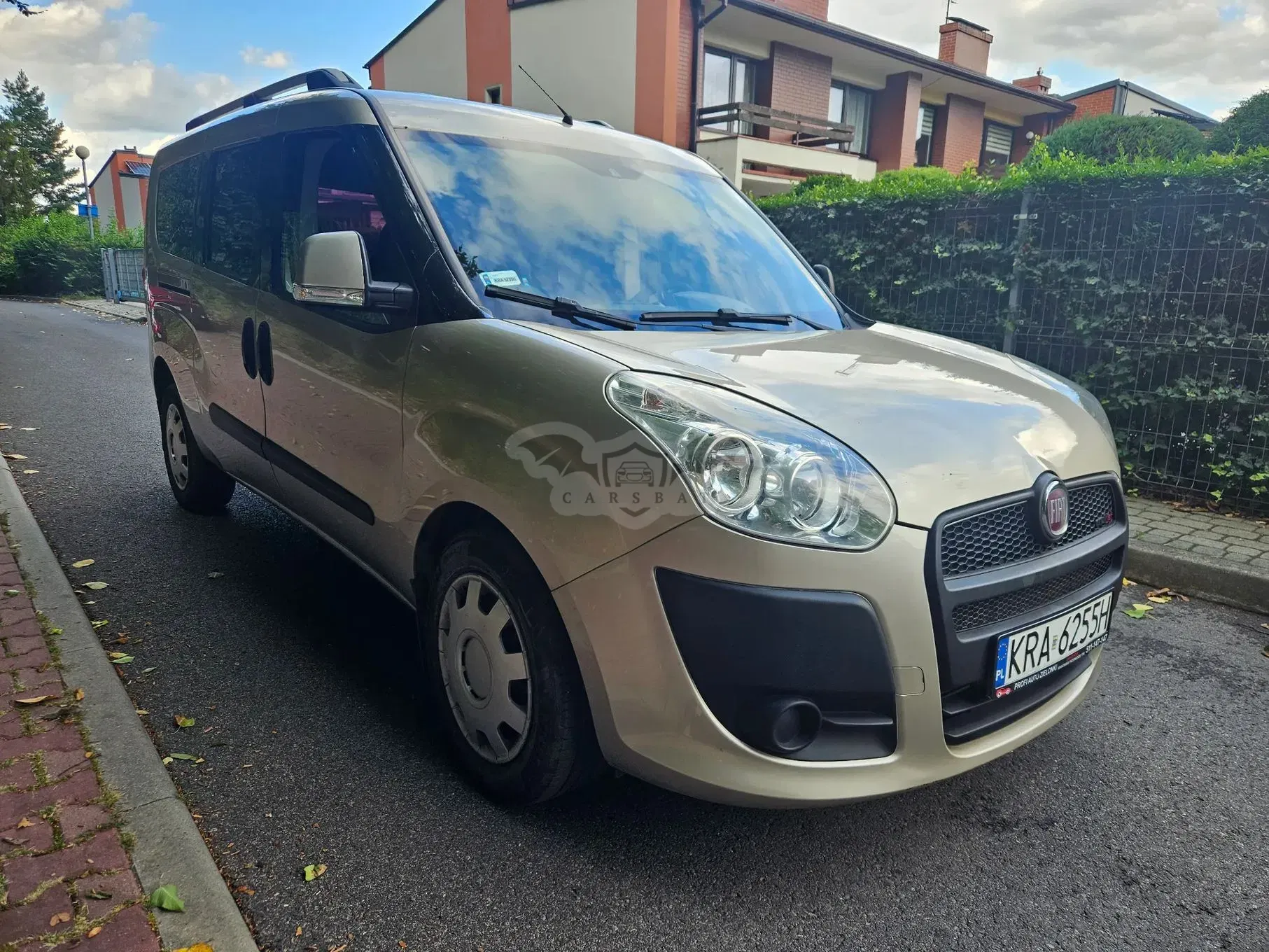 Fiat Doblo II (2009-) Maxi Dynamic 2010