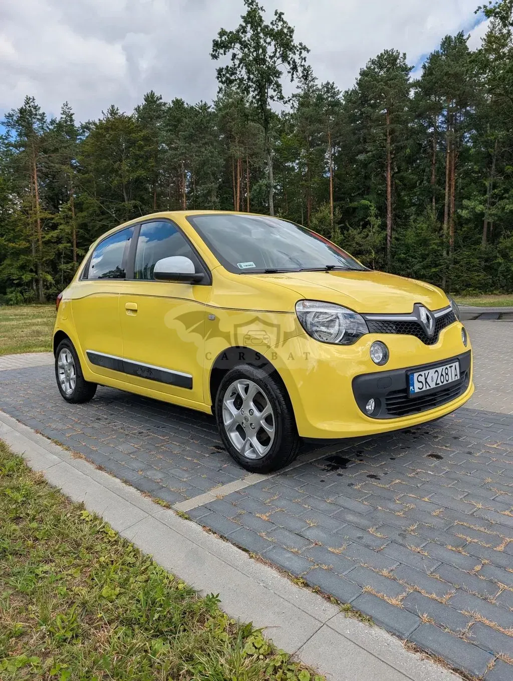 Renault Twingo III (2014-) SCe 70 Intens 2014