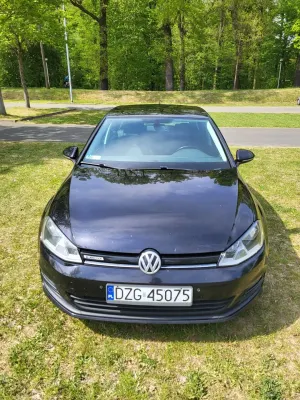 Volkswagen Golf VII (2012-2020) 1.6 TDI BlueMotion Trendline 2014