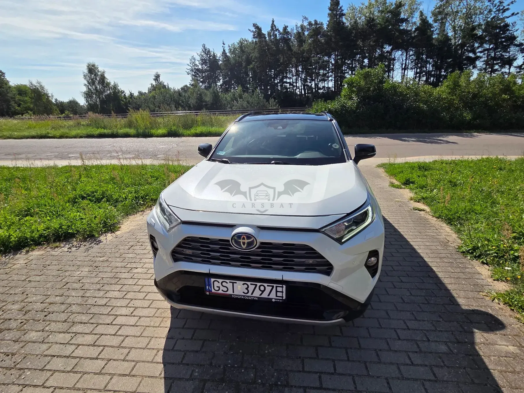 Toyota Rav4 V (2018-) 2019