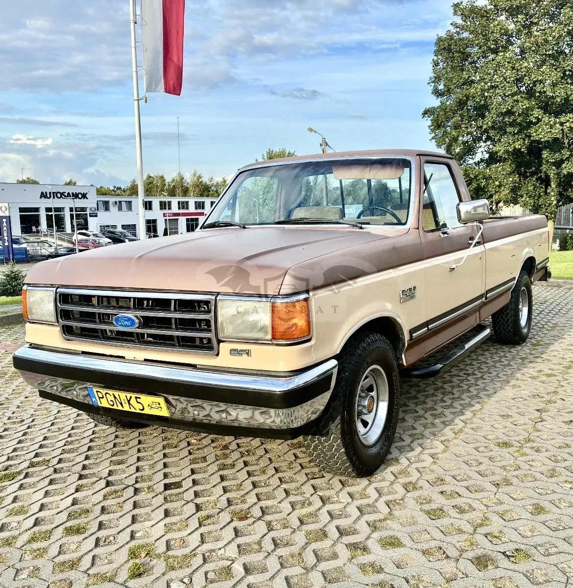 Ford F-150 1990