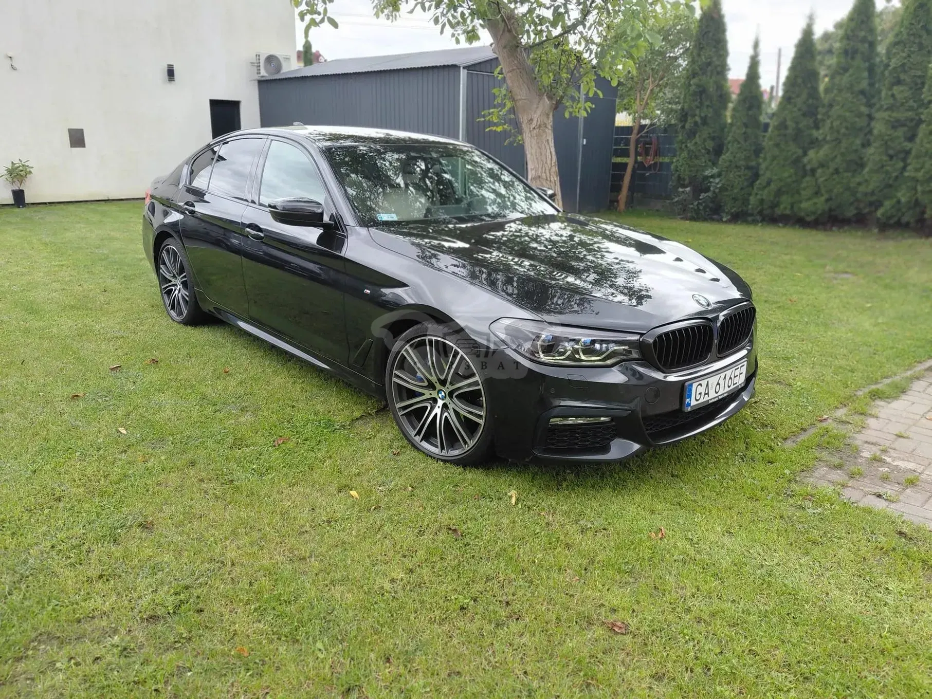 BMW 5 Series G30/G31 (2017-2023) 530d xDrive 2017