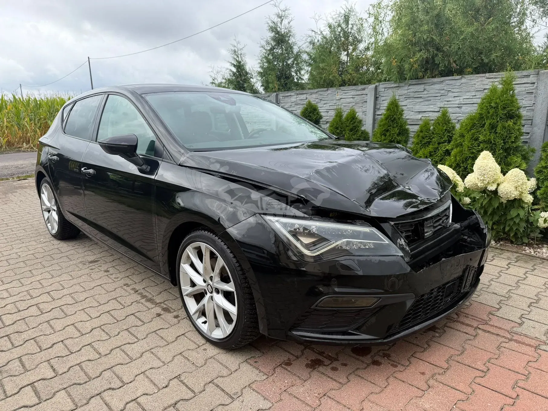 Seat Leon III (2012-) 1.5 TSI ACT OPF FR Black Matt Edition 2018