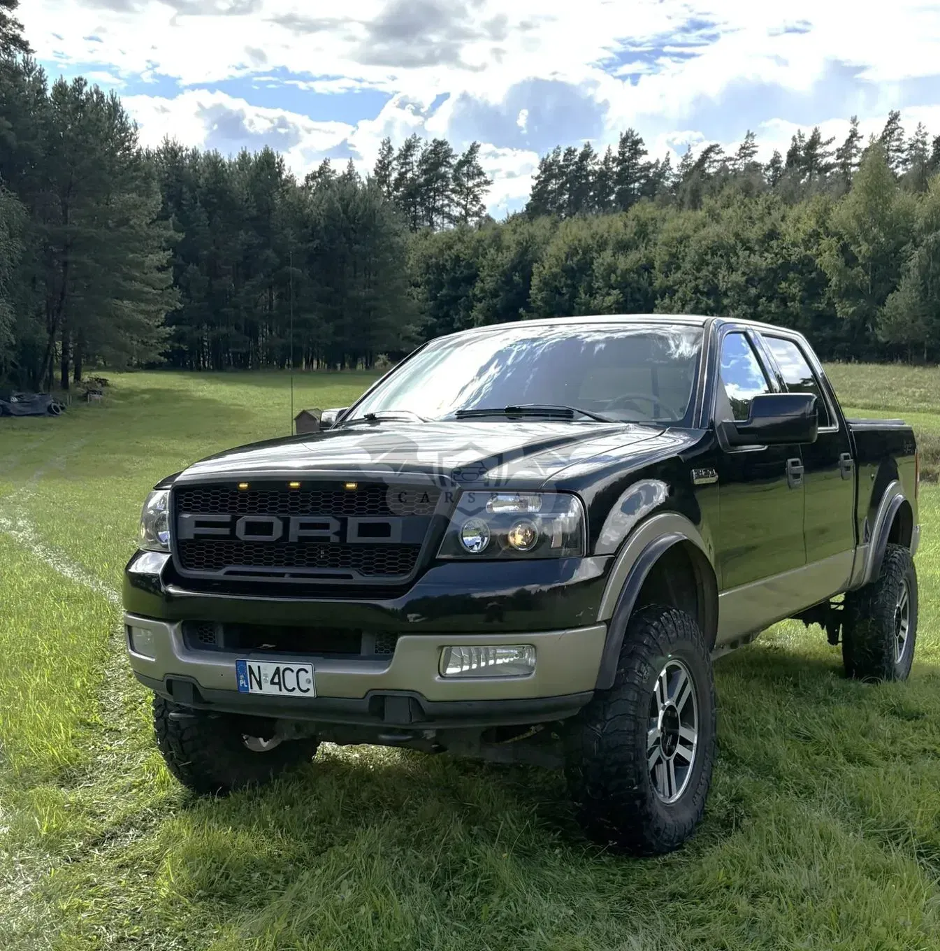 Ford F-150 2004