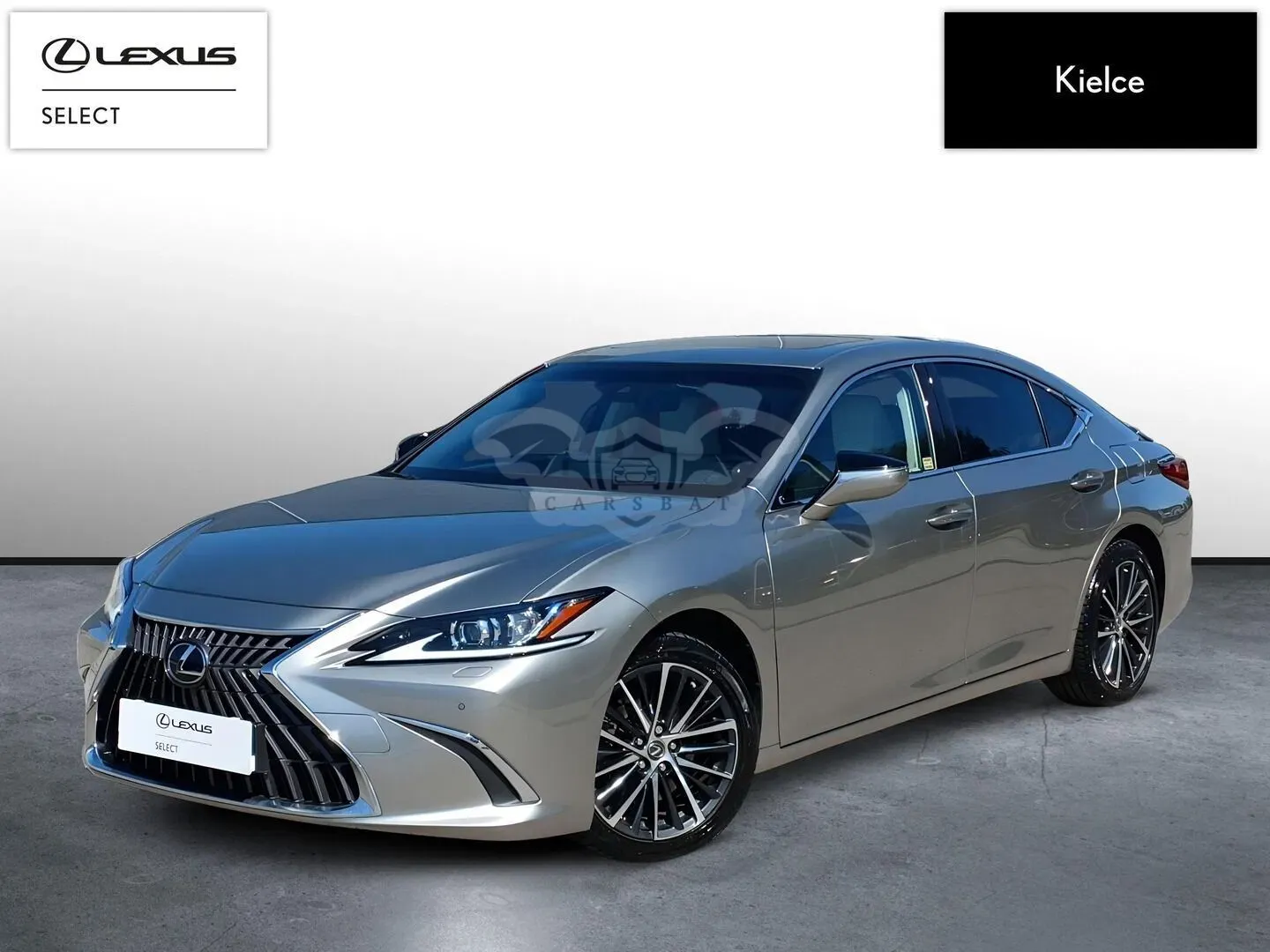 Lexus ES 300h Business Edition 2023