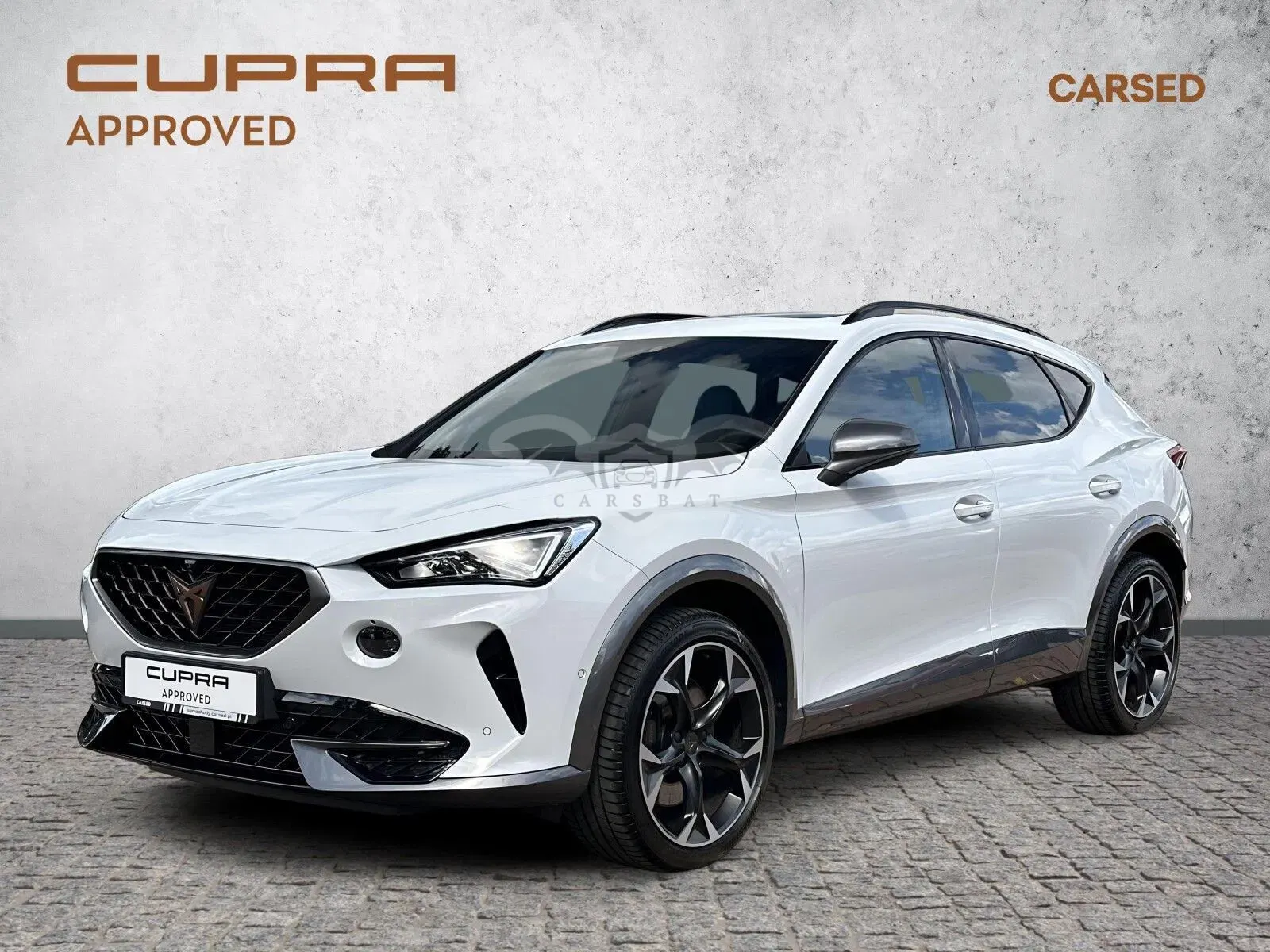 Cupra Formentor 2.0 TSI 4Drive VZ DSG 2024