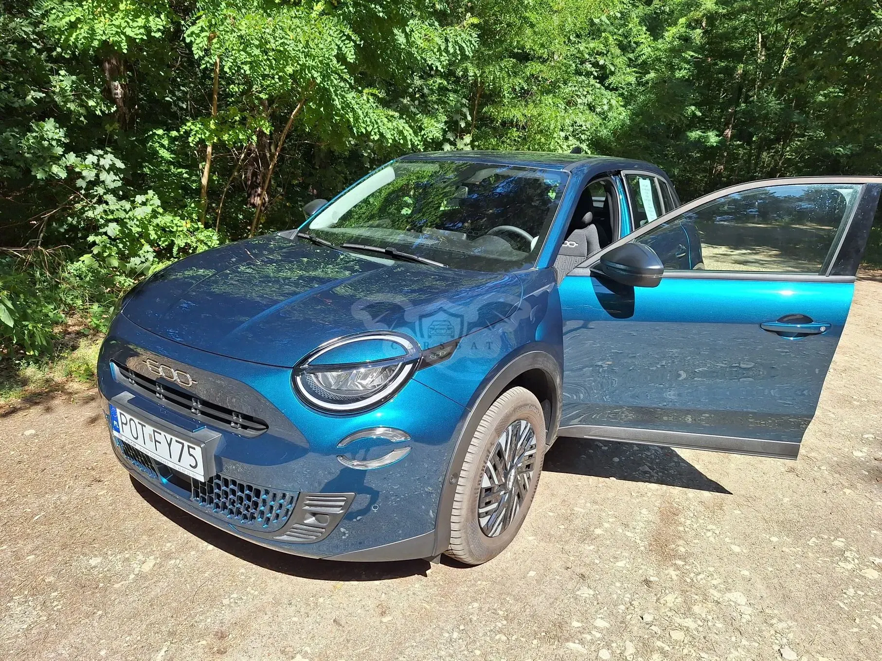 Fiat 600 2024