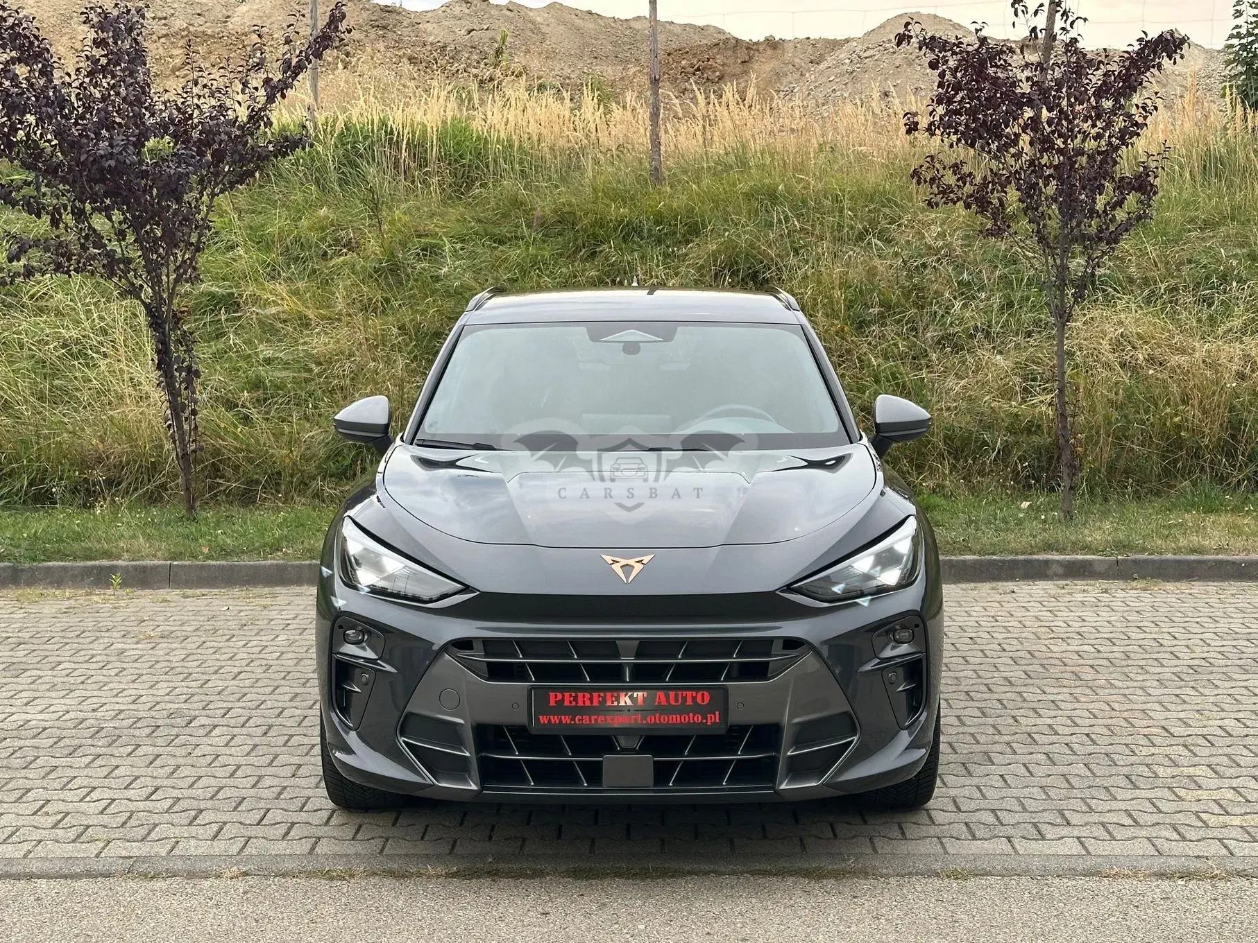 Cupra Terramar 2.0 TSI 4Drive DSG VZ 2026