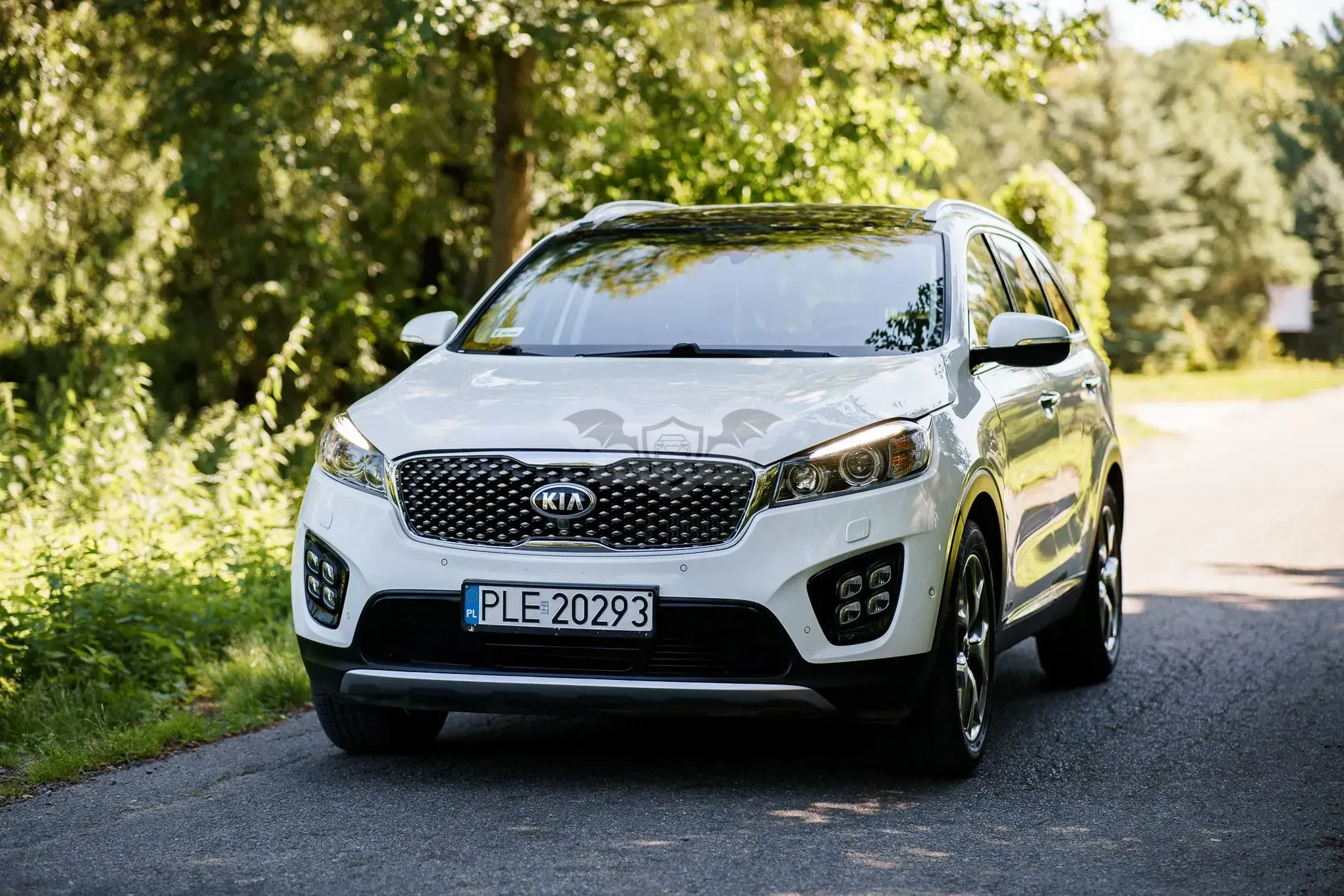 Kia Sorento III (2015-2020) 2.2 CRDI Business Line Plus 2017