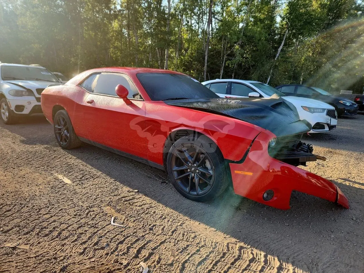 Dodge Challenger 3.6 GT Plus AWD 2023