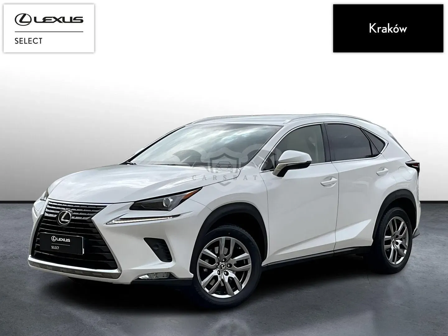 Lexus NX I (2014-2021) 300 Prestige AWD 2019