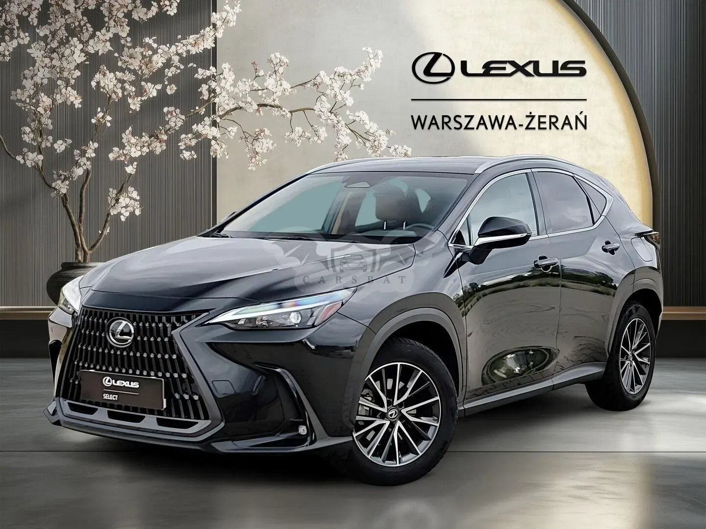Lexus NX II (2021-) 2023